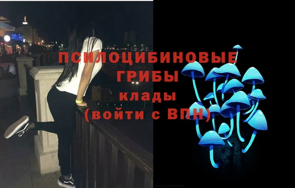 кокс Арсеньев