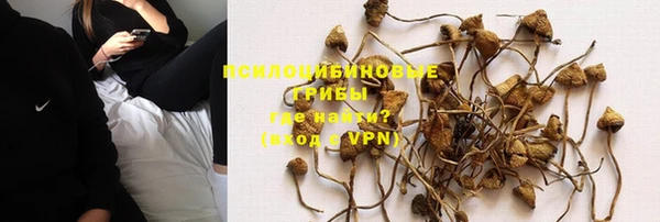 эйфоретик Армянск