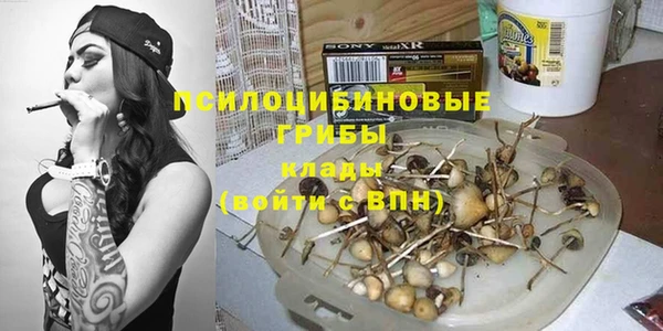 кокс Арсеньев