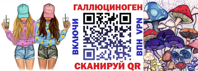 Купить  Городец  Псилоцибиновые грибы Psilocybine cubensis 