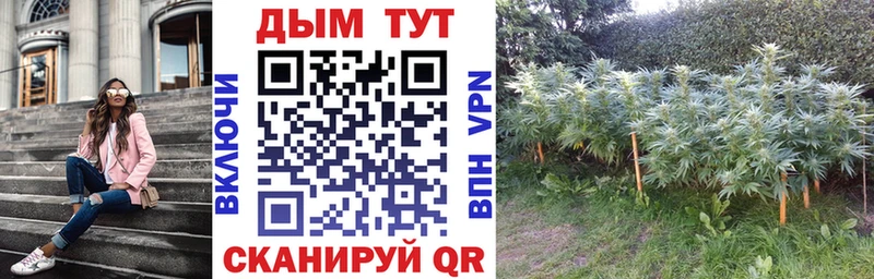 Каннабис тримм  Купить где  Городец 